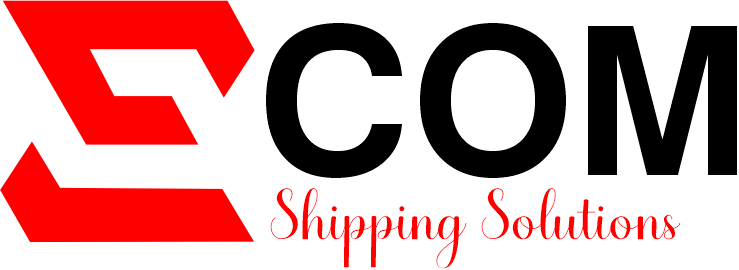 Ecom Shipping Solutions Pvt Logo